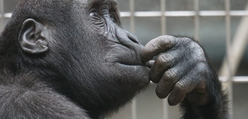 escape room tipps kompliziert