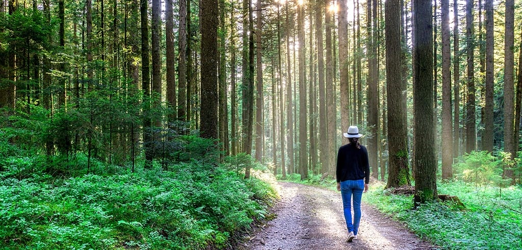Wandern in Deutschland Top Outdoor Aktivität am Sonntag