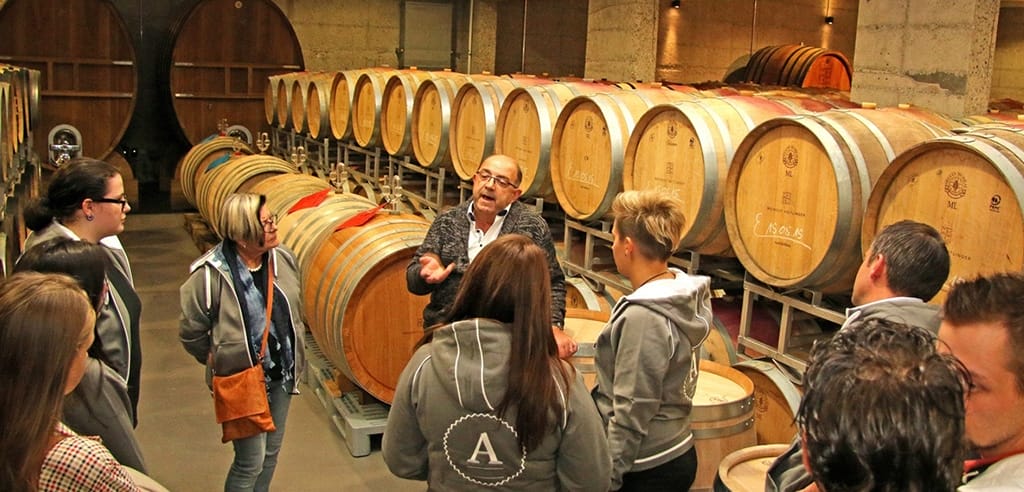 Teambuilding-Maßnahme: Wein- und Winzerevent