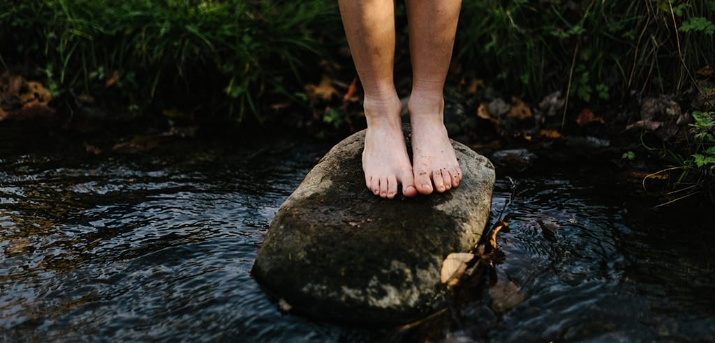 Walderlebniszentrum in Regensburg mit Kindern