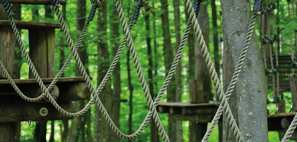 Kletterwald Thale im Harz in Sachsen-Anhalt. Geeignet für Kinder ab 5 Jahren.