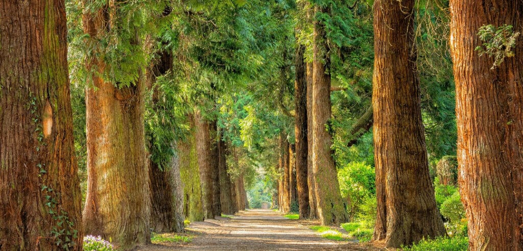 Der Schlosspark Heltorf ist ein wunderschönes Ausflugsziel.