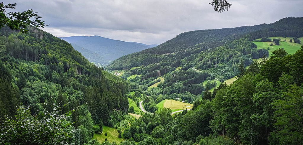 Schwarzwald Tagesausflug Stuttgart