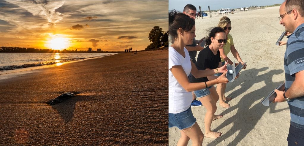 Unterhaltsame Team Olympiade am Elbstrand in Hannover
