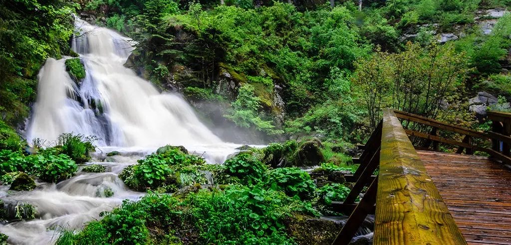 Coole Familienwanderung mit Natur Highlights