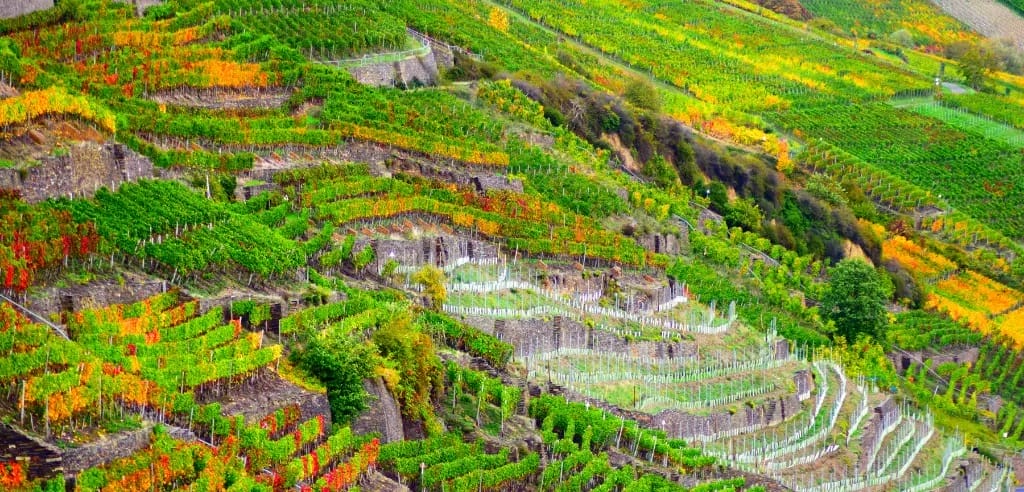 Weinreise Ahrtal Weinverkostung teambuilding-in-bonn-teamevent-ideen