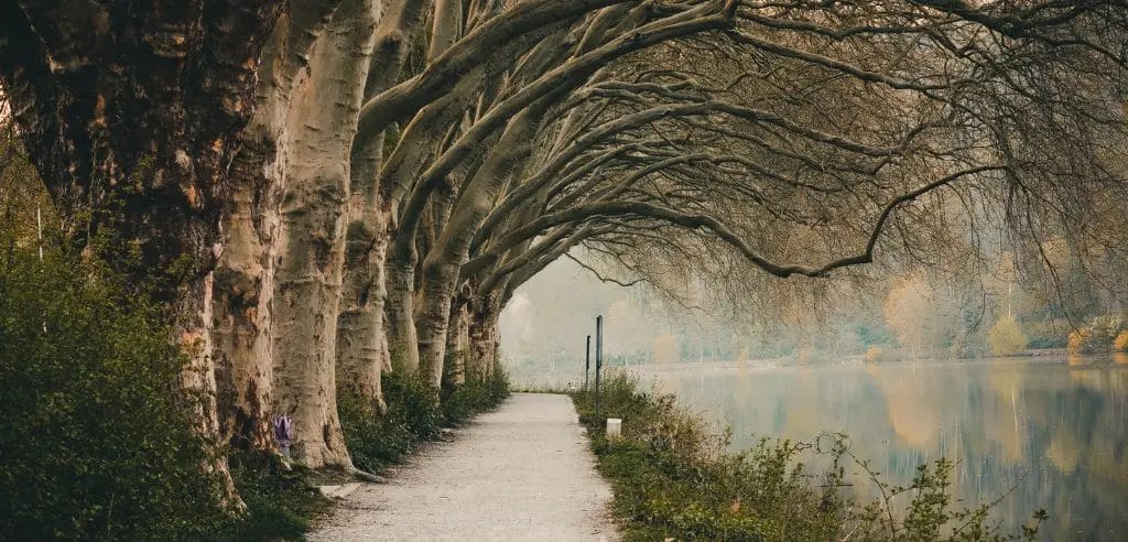 naturidylle am baldeneysee bottrop ausflugsziele